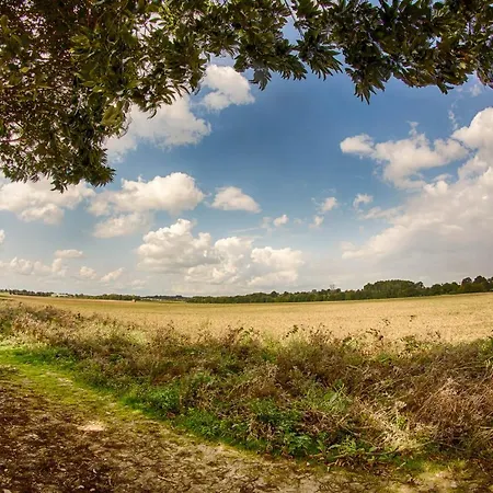 嘉德茨霍夫乡间别墅